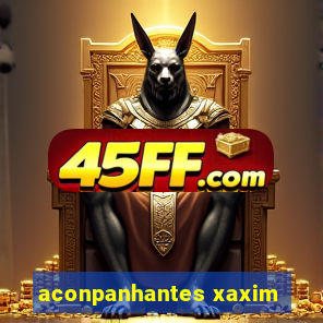aconpanhantes xaxim